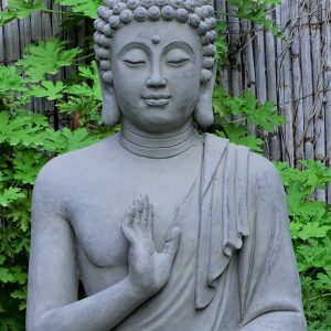 Buddhas and Altars